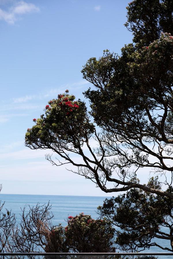 Oakura Beach Front Apartments エクステリア 写真